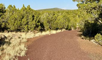 37 Co Rd N8174 10.1 Acres, Concho, AZ 85924