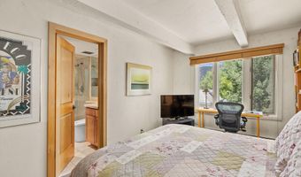 124 W Hyman Ave 3B, Aspen, CO 81611
