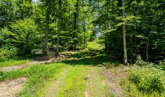 2291 Blankey Branch Rd, Beattyville, KY 41311