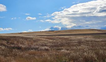 Levity Way, Berthoud, CO 80513