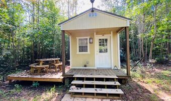 18 62 Ac Squirrell Hollow Rd, Alberta, VA 23821