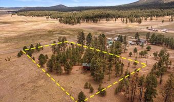 159 Correctional Center Rd, Alpine, AZ 85920