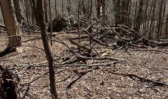 Tdb Nettles Ridge Road, Banner Elk, NC 28604