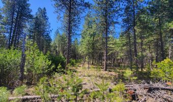 Nka Sheep Springs 10 acres, Athol, ID 83801