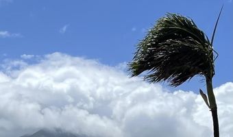 111 KAHULUI BEACH Rd D112, Kahului, HI 96732