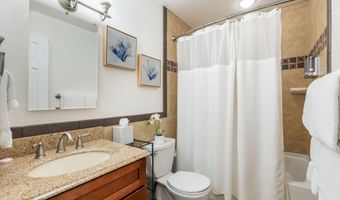 210 E Cooper Ave 1C, Aspen, CO 81611