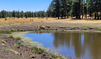 Tbd STONE CREEK RD CR 2117, Alpine, AZ 85920