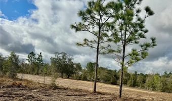 Tbd NE 108TH TERRACE, Archer, FL 32618