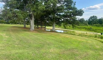 97 COUNTY ROAD 142, Arley, AL 35541