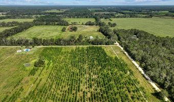 00 50th Ave, Bell, FL 32619