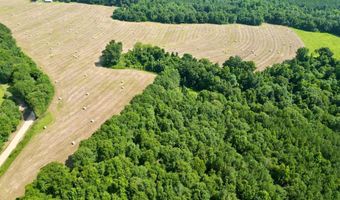 County Road 127, Banks, AL 36005