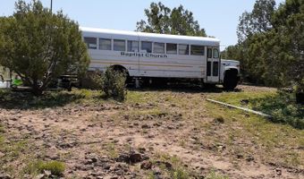 460 461 CR8301, Concho, AZ 85924