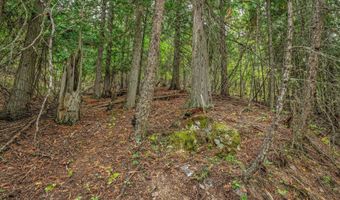 NKA Silver Creek Road, Clark Fork, ID 83811