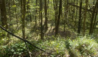 Steve Brown Road, Bean Station, TN 37708