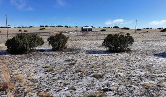 102 County Road 5105, Concho, AZ 85924