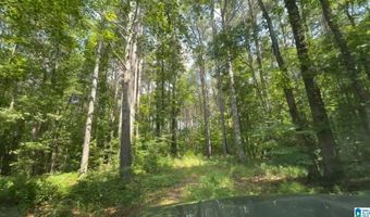 411 DR JENKINS Ln, Altoona, AL 35952