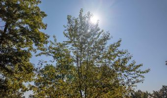 18180 Us 160, Alton, MO 65606