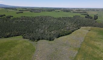 N 4600 E, Ashton, ID 83420