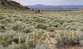 267 Tolman Rd, Clark, WY 82435
