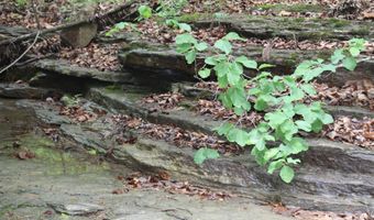 E Mountain Road, Bee Branch, AR 72013