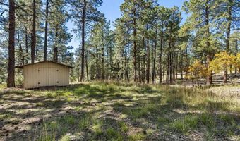 138 Green Ridge Dr, Bayfield, CO 81122