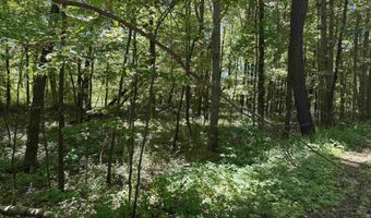 ARROWHEAD ROAD lot 16, Amherst Junction, WI 54407