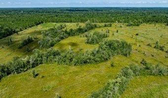 542 Lilla B Gaskins Rd, Alapaha, GA 31622