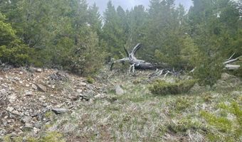 Shoot The Moon Lane, Anaconda, MT 59711