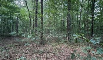 US HWY 64, Atkins, AR 72823