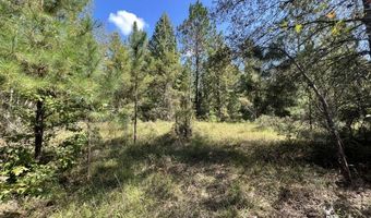 0 John S Horton, Adrian, GA 31002