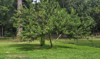 4807 Radium Springs Rd, Albany, GA 31705