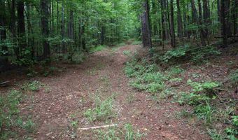 0 COUNTY ROAD 61 366.92 acres, Fruithurst, AL 36262