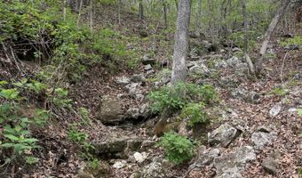 State Hwy N Tract G, Ava, MO 65608