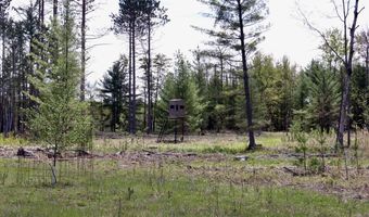 5826 S Morrison Rd, Alger, MI 48610