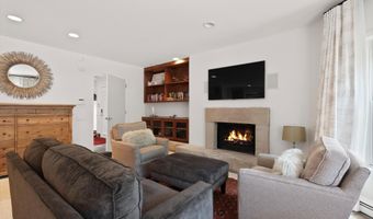 925 E DURANT Avenue 2, Aspen, CO 81611