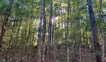 0 Lloyd Mill Rd, Andalusia, AL 36421