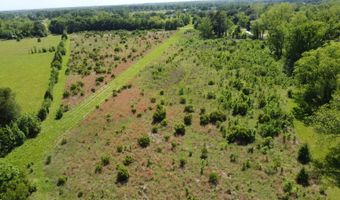 Green Road, Arnaudville, LA 70512