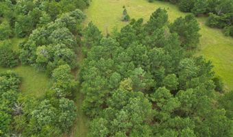 428665 E 1920 Rd, Antlers, OK 74523