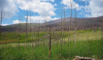 30 Sheep Horn Ct, Bellvue, CO 80512