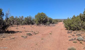 77 CR N8604, Concho, AZ 85924