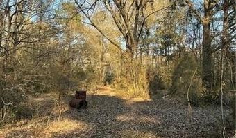 21305 HWY 1061, Amite, LA 70422