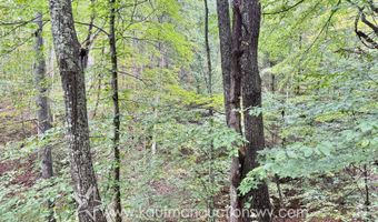 Jesse Run Rd, Arnoldsburg, WV 25234