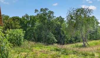 Conns Creek Road, Ball Ground, GA 30107