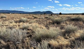 558 Sand Flat Rd 5, Aragon, NM 87820