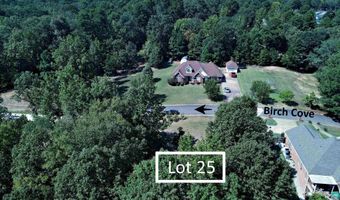 Lot 25 Birch Cove, Arkadelphia, AR 71923