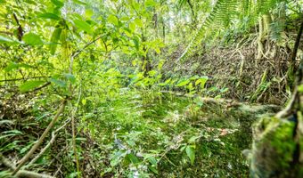 29-509 CHIN CHUCK Rd, Hakalau, HI 96710