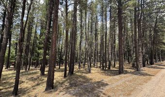 Calle de las Palomas lot 880, Angel Fire, NM 87710