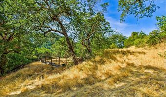 1991 Steelhead Rd, Alderpoint, CA 95511