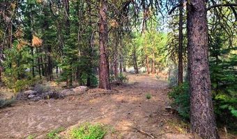 Yak Lane, Bonanza, OR 97623