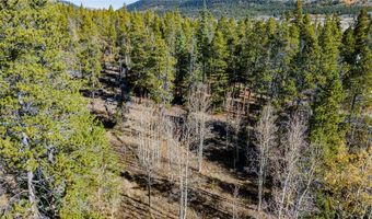 235 WILLOW Ln, Alma, CO 80440
